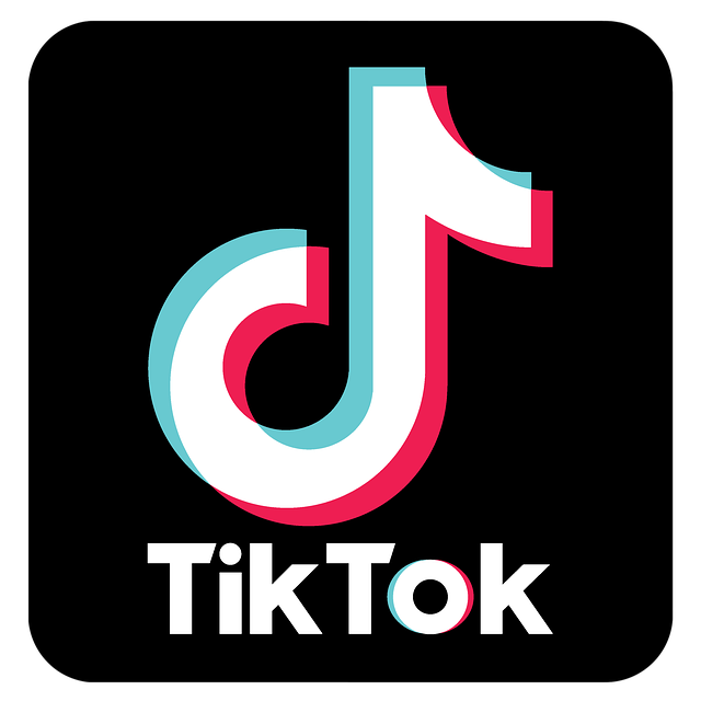 tiktok soumissions demenageurs