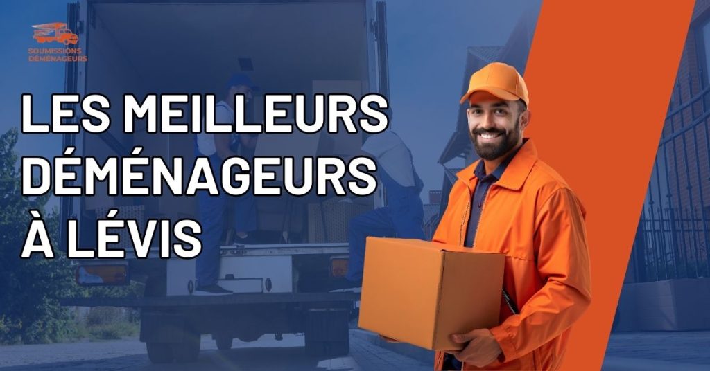les meilleurs demenageurs a levis